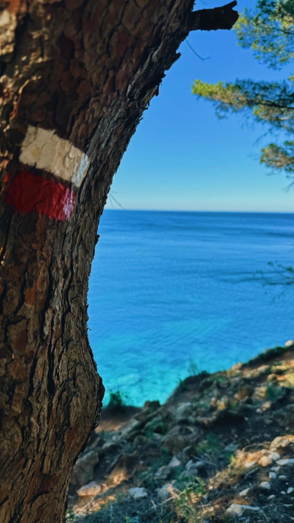 Can Romy Appartement T3 B - A 20M De La Plage De Cala Montgo L' Escala エクステリア 写真